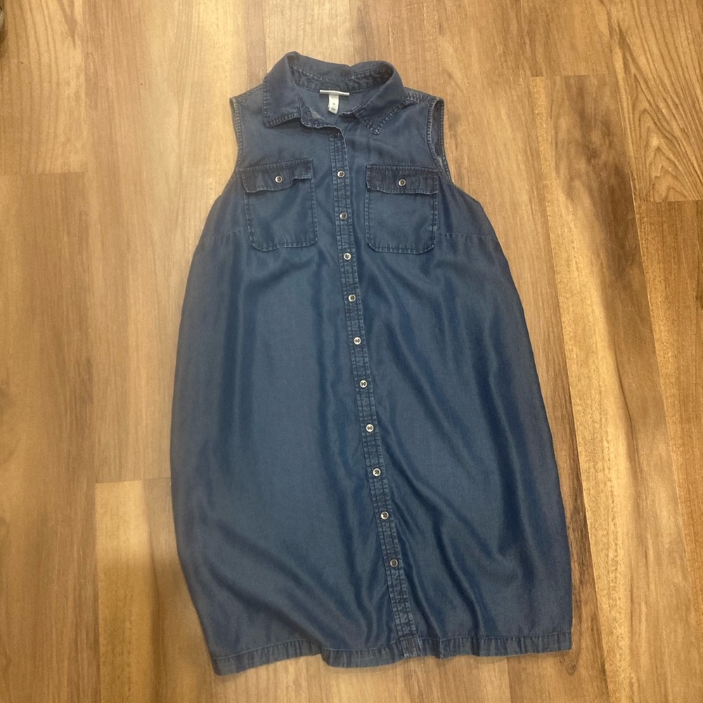 Liz Lange Maternity Denim Button Down Dress